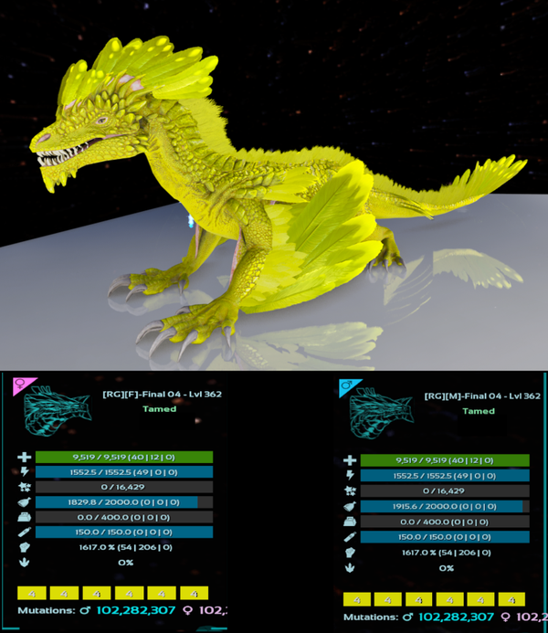 ID4 Rock Drake 1617m adult clones