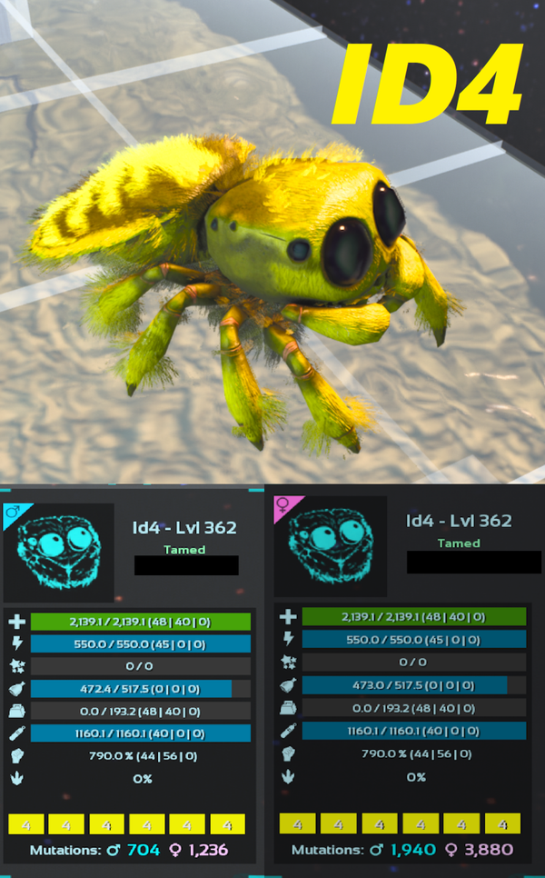 ID4 Cosmo Spider Adult clones and eggs