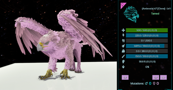 ID67 LVL1 Adult Female Griffin clones