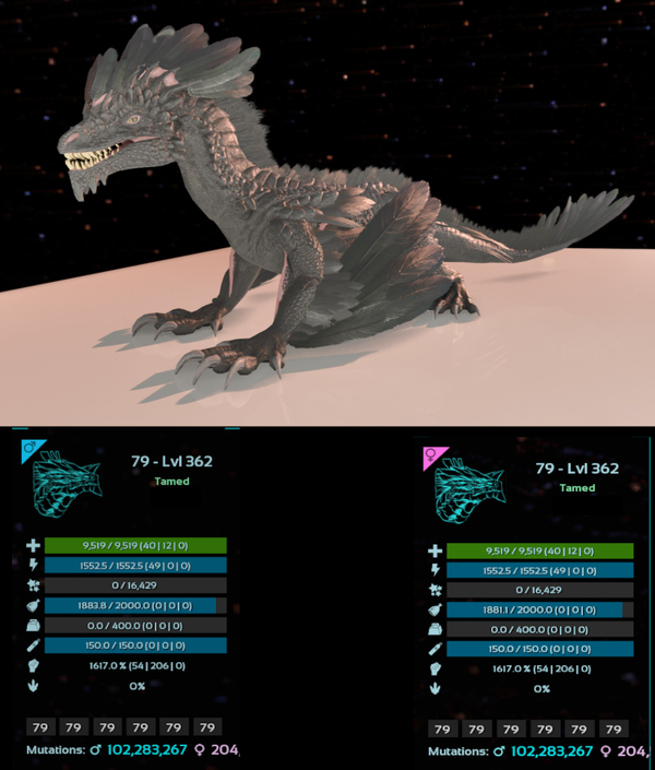 ID79 Rock Drake 1617m adult clones
