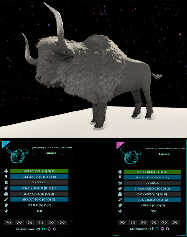LVL1 ID79 Bison adult clones