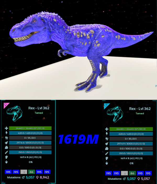 ID195 1619M REX Adult clones