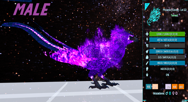 Level 22 male adult Phoenix Clone