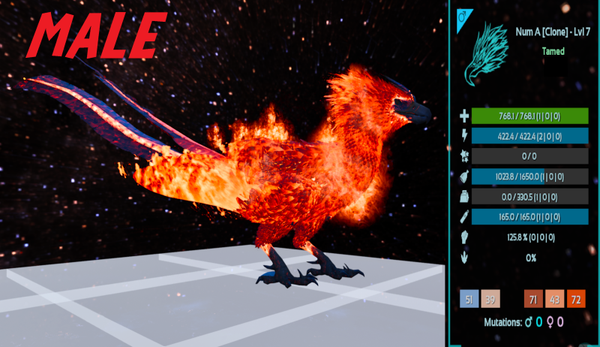 Level 7 Male adult phoenix clone