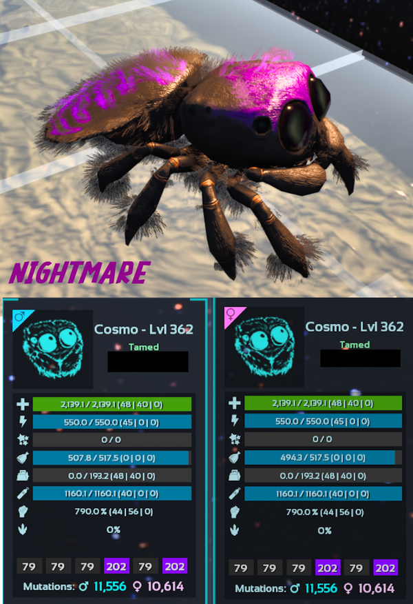 Nightmare Cosmo Spider Adult clones and eggs