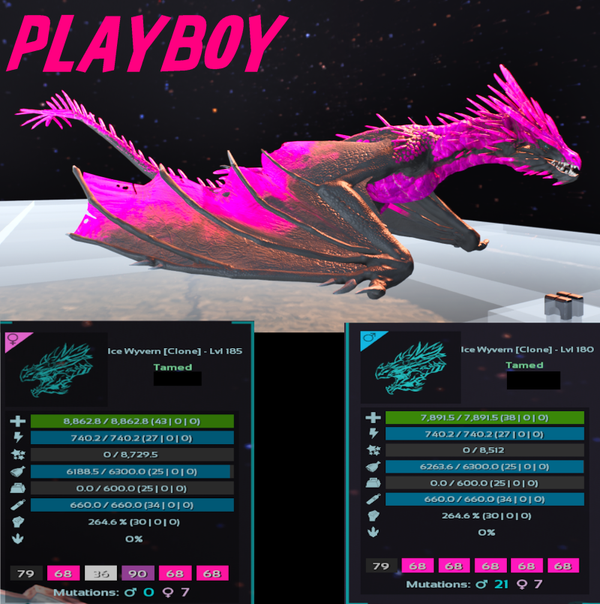 Playboy v2 ICE Wyvern adult clone