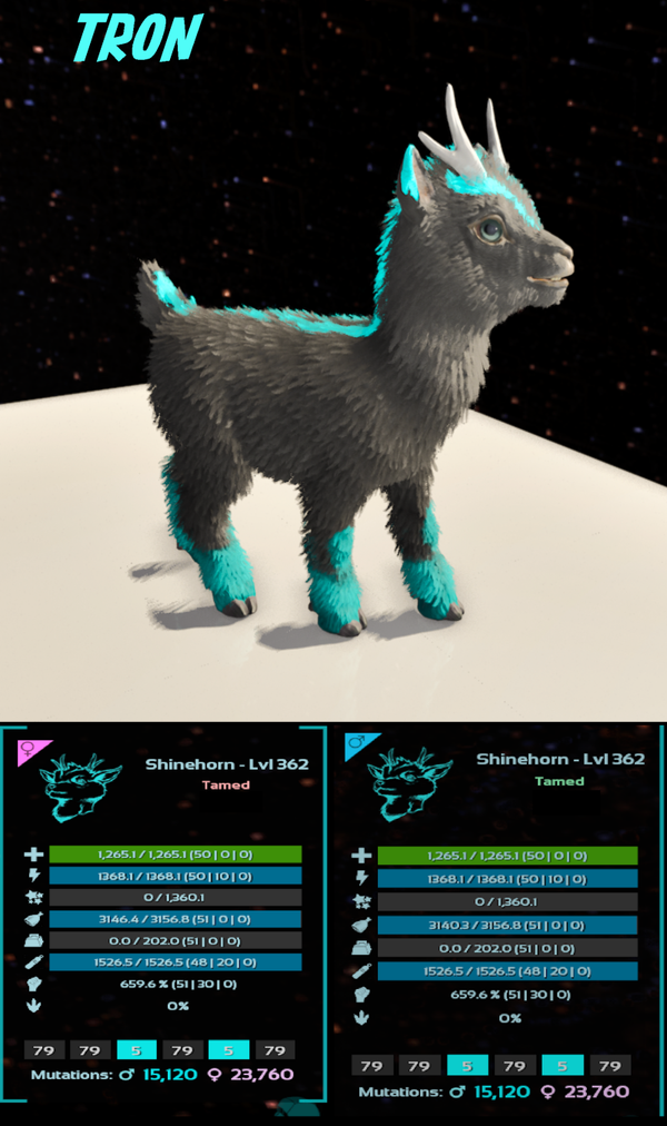 Tron Shinehorn adult clones