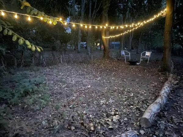 The Woodland Pitches