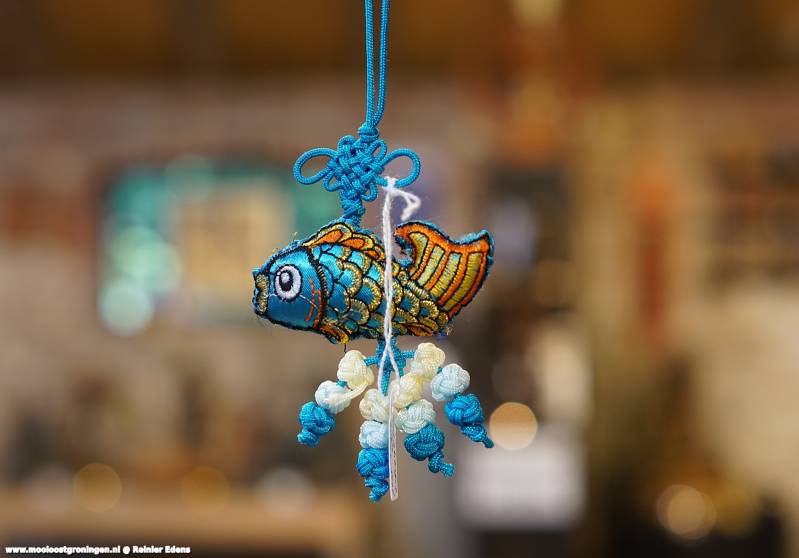 DSC01060-1.jpg