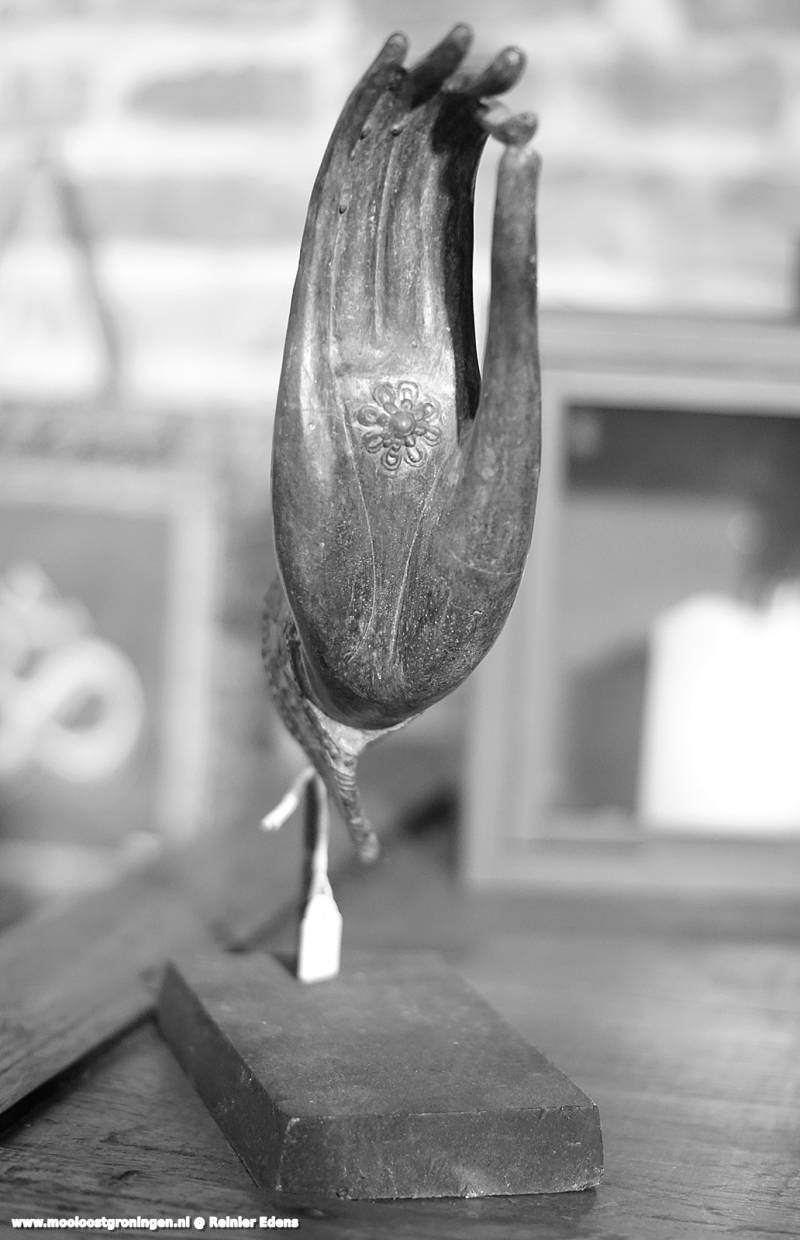 DSC01072-1.jpg