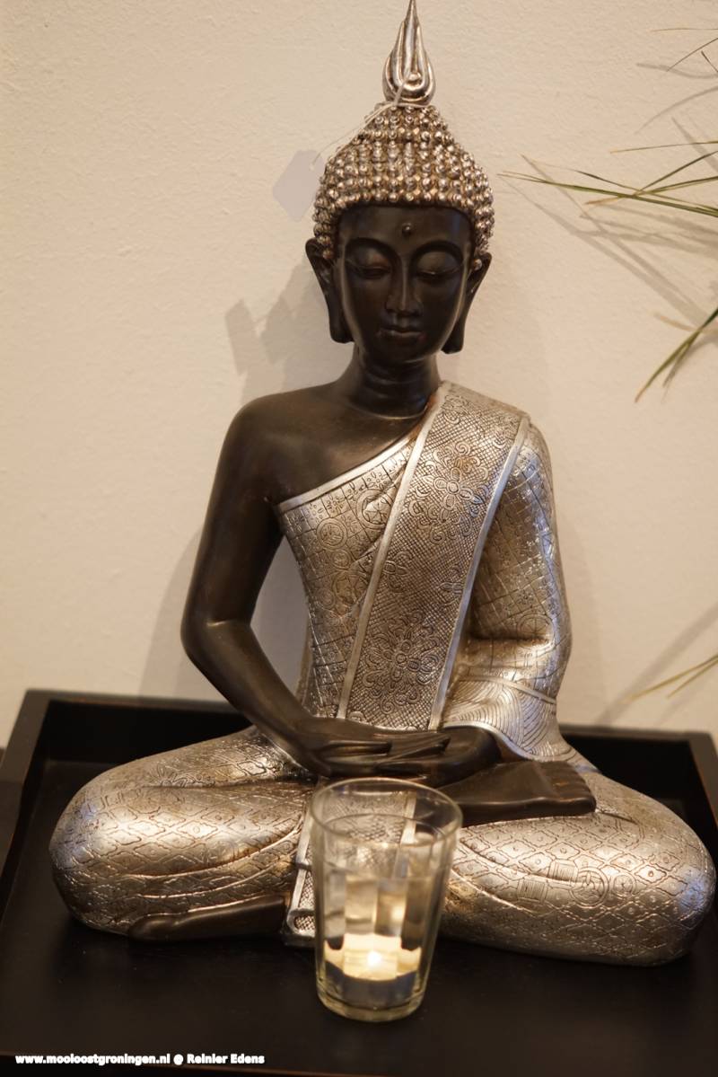 DSC01098-1.jpg