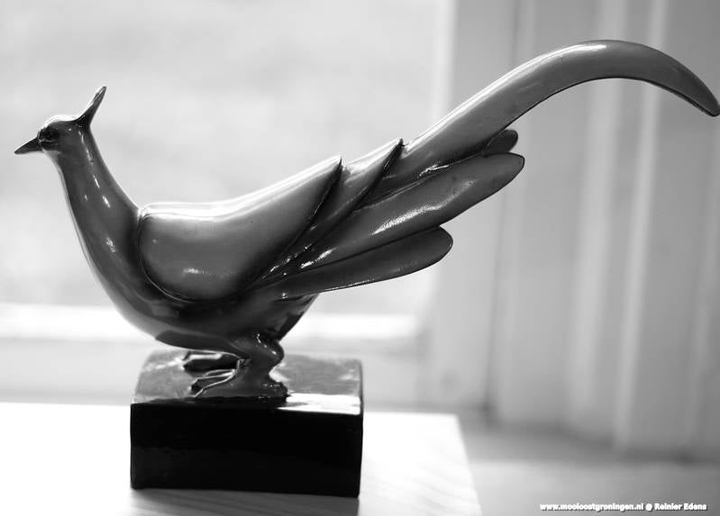 DSC01146-2.jpg