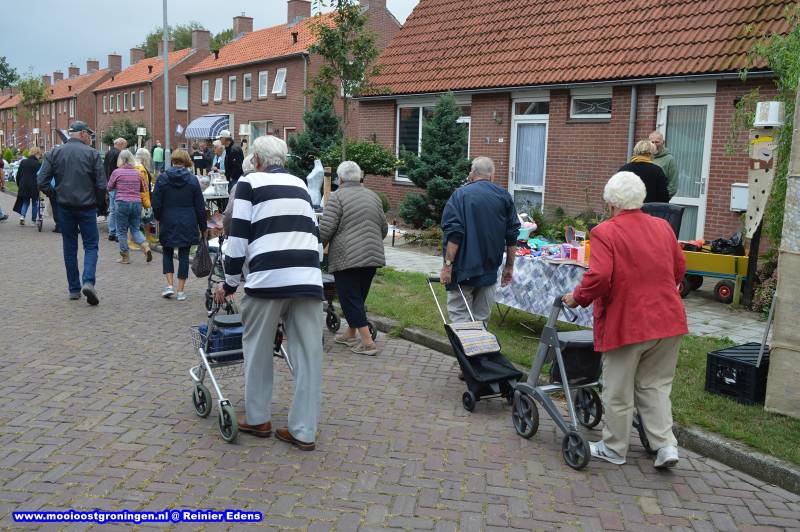 DSC_0031-70.jpg