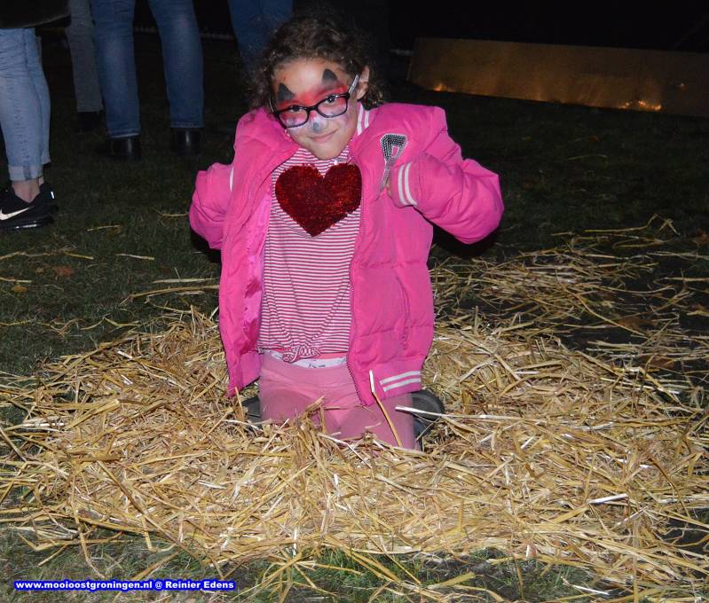 DSC_0227-29.jpg
