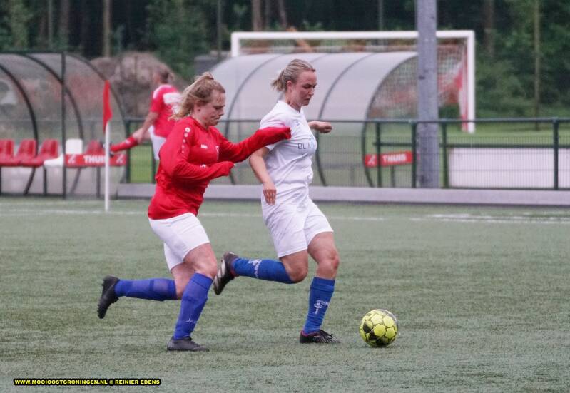 dsc02061-standard.jpg