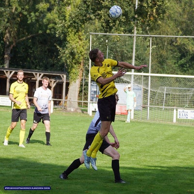 dsc06408-standard.jpg