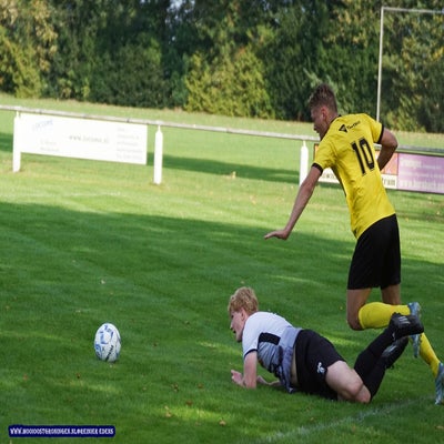dsc06411-standard.jpg