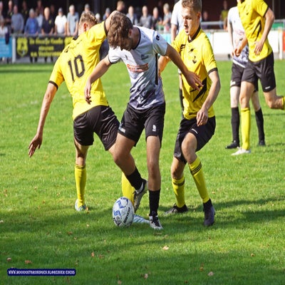 dsc06532-standard.jpg