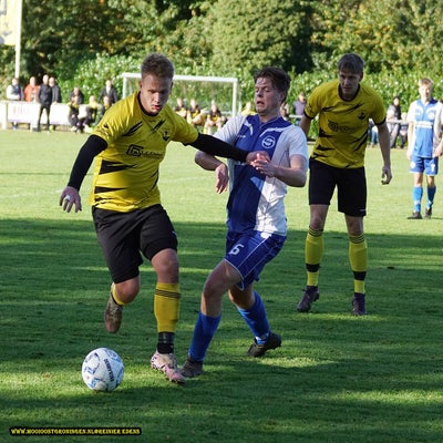 dsc06731-standard.jpg