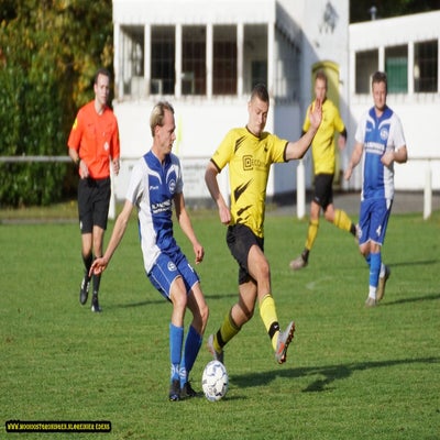 dsc06865-standard.jpg