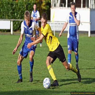 dsc06889-standard.jpg