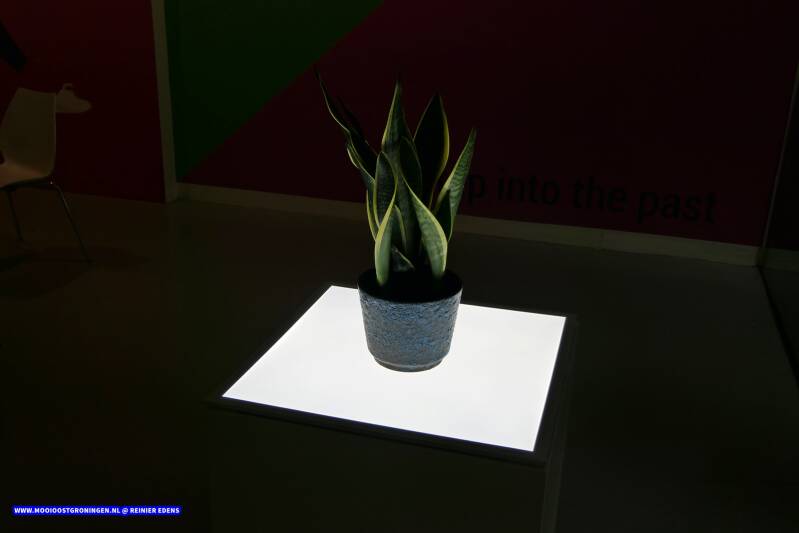 p1060378jpg.jpg