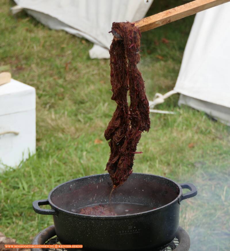 p1210959-standard.jpg