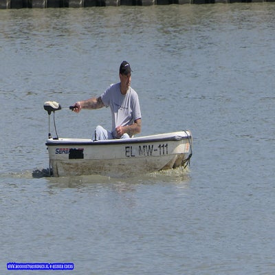 p1260478-standard.jpg