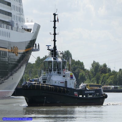 p1260482-standard.jpg