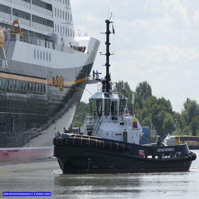 p1260483-standard.jpg