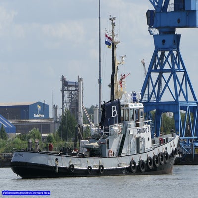 p1260490-standard.jpg