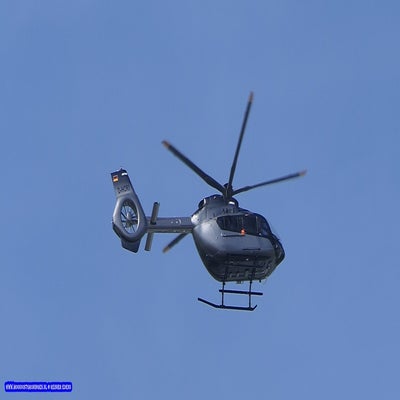 p1260497-standard.jpg