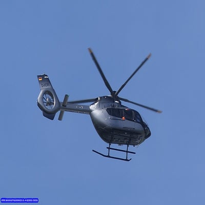 p1260499-standard.jpg