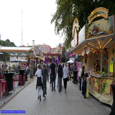 p1260503-standard.jpg