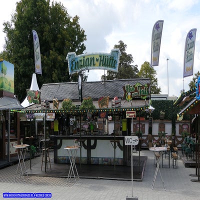 p1260511-standard.jpg