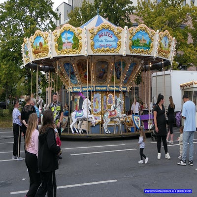 p1260548-standard.jpg
