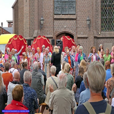 p1260570-standard.jpg