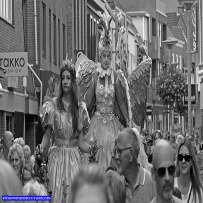 p1260599-standard.jpg