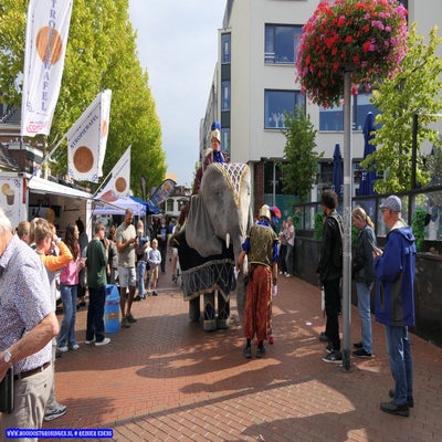p1260682-standard.jpg