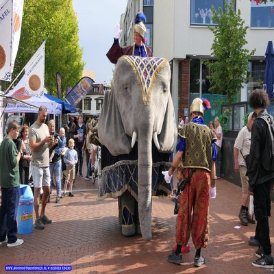 p1260684-standard.jpg