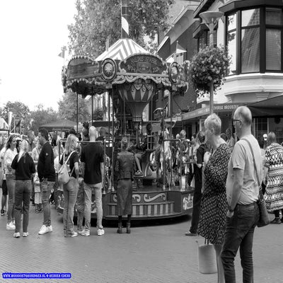 p1260717-standard.jpg