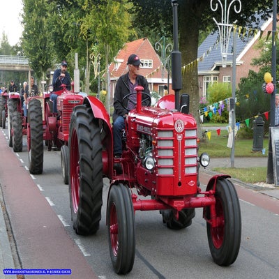 p1260800-standard.jpg