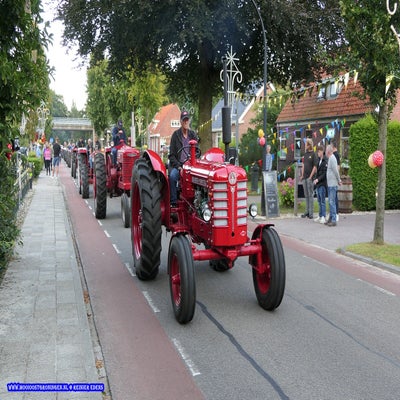 p1260801-standard.jpg