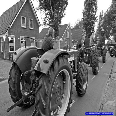 p1260809-standard.jpg