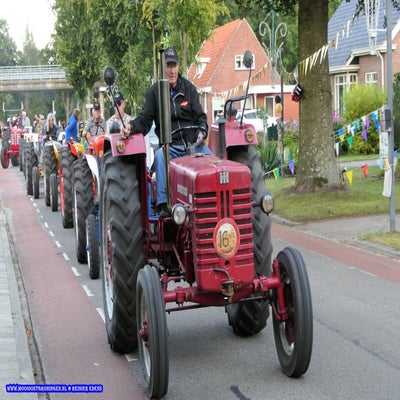 p1260811-standard.jpg