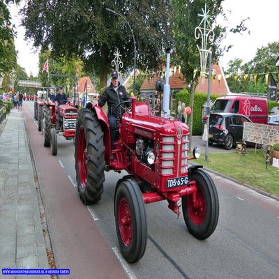 p1260844-standard.jpg