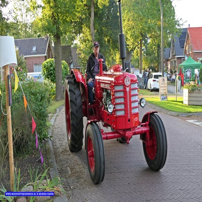 p1260958-standard.jpg