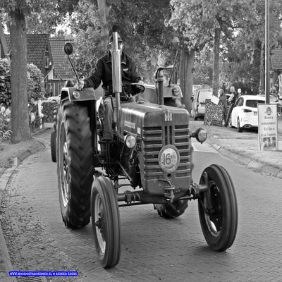 p1260965-standard.jpg