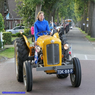p1260970-standard.jpg