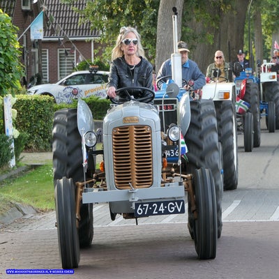 p1260972-standard.jpg